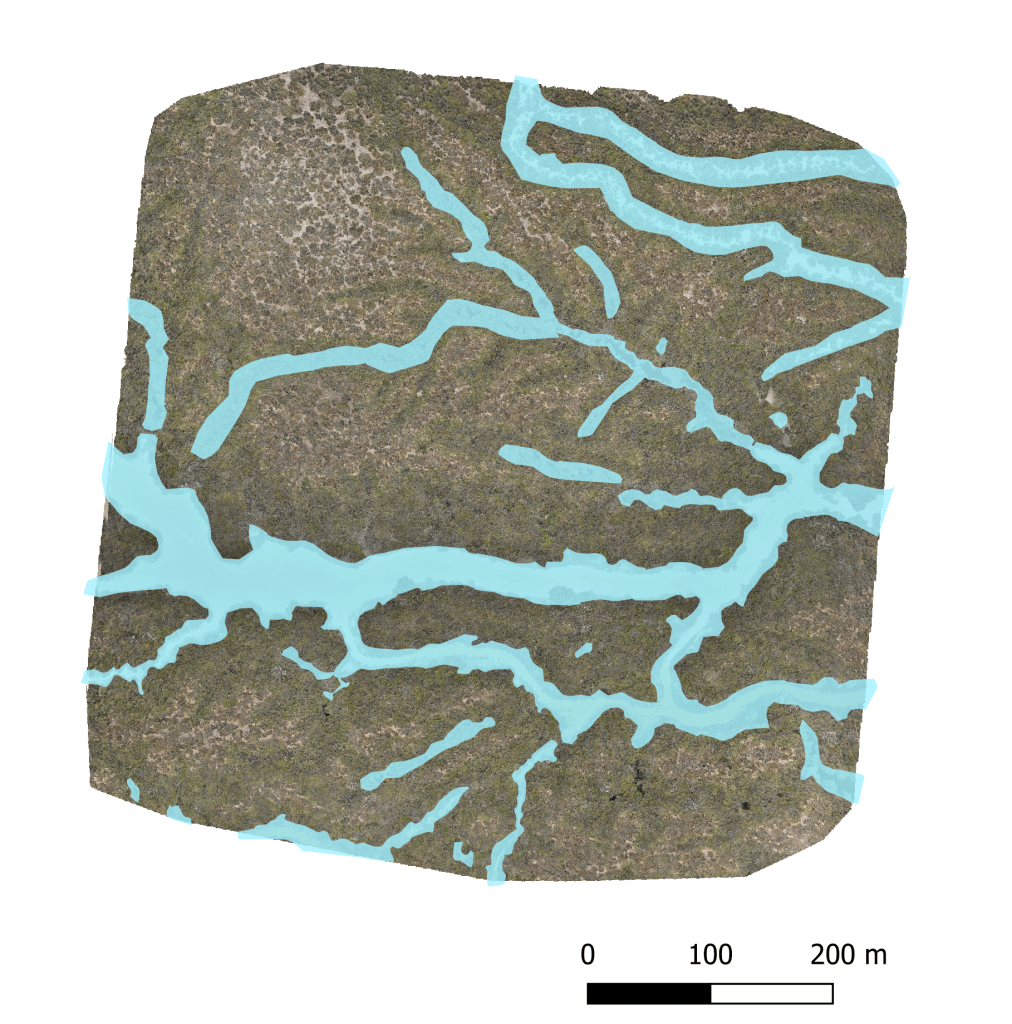 From manual work to smart automation: Mapping flooding in&nbsp;wetlands